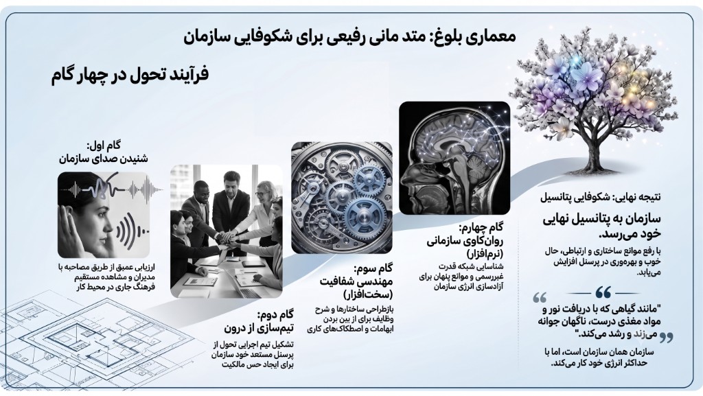 اینفوگرافیک معماری بلوغ — فرآیند تحول در چهار گام: شنیدن صدای سازمان، تیم‌سازی از درون، مهندسی شفافیت و روان‌کاوی سازمانی